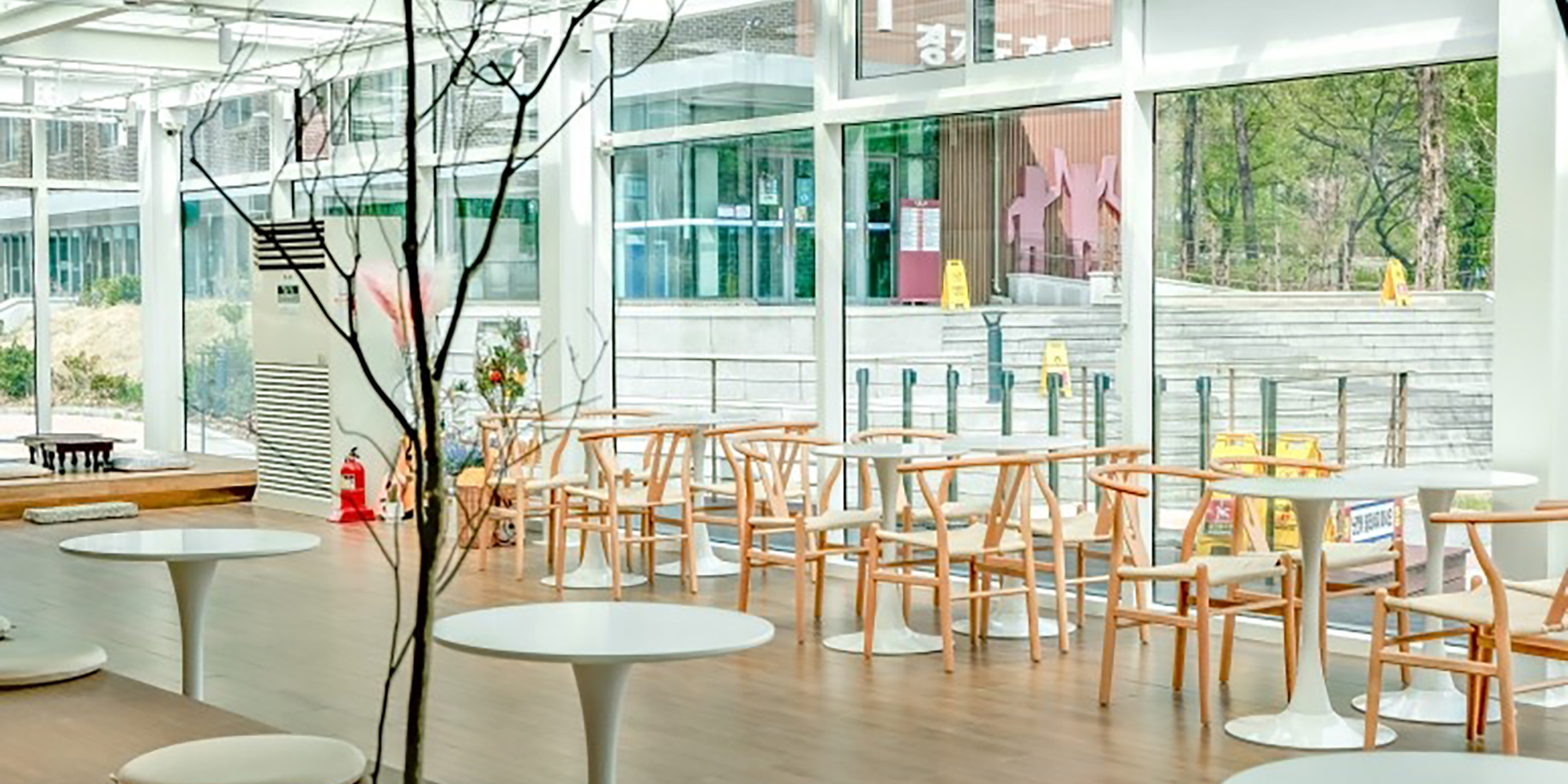 [카페] 싱그러운 분위기로 활기가 도는 카페 인테리어